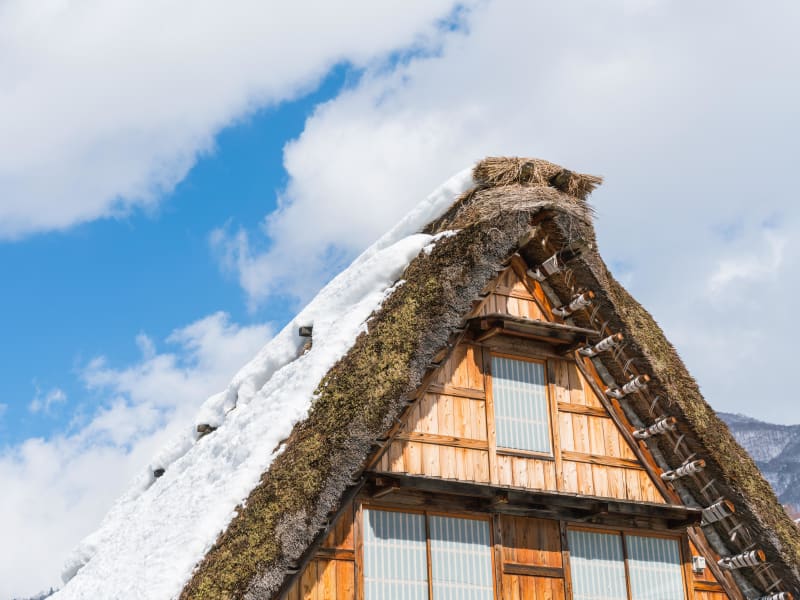 shirakawago lightup cropped