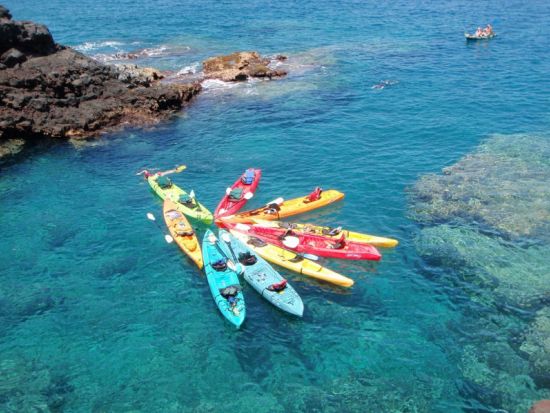 コナ・コースト　シーカヤック＆シュノーケリングツアー　野生のイルカをカヤックから観察！＜早朝／英語ガイド＞by オーシャンサファリ・カヤック