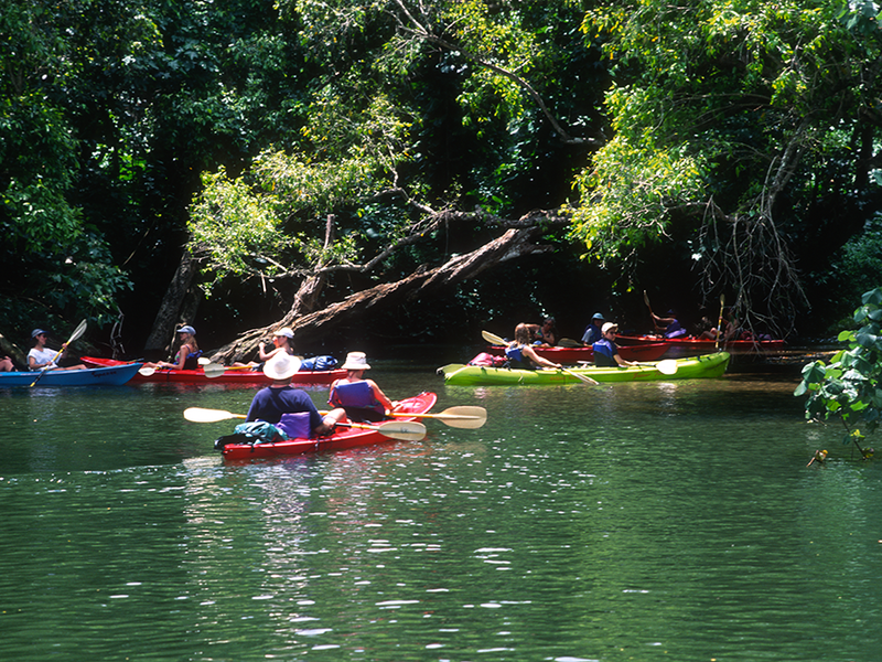 USA_Hawaii_Wailua-River-Kayak