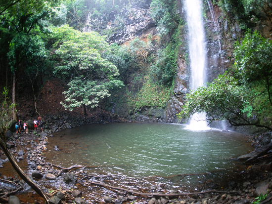 カウアイ島　キプサファリ・アドベンチャー　ジップライン＋ハイキング＋カヤック体験で大自然を満喫！ ＜昼食付き／英語インストラクター＞