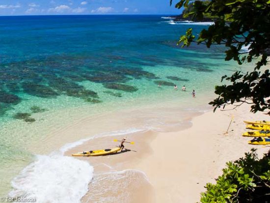 カウアイ島　カヤック＋シュノーケリング体験ツアー☆大人気アクティビティを集約！＜1日／英語ガイド／昼食付／ハナレイまたはプリンスビル発＞