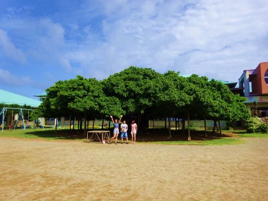 ＼山下ガイドと行く／沖永良部島 島内観光ツアー 車移動で楽々！定番名所からディープな魅力まで地元ガイドがご案内 行きたい場所はアレンジ可能＜3時間 or 1日＞