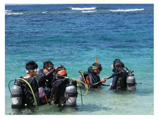 体験ダイビング  ビーチ＋ボートの2ダイブ 沖永良部の海で様々な生物に会いに行こう ＜水中写真プレゼント付き＞ by シードリーム沖永良部