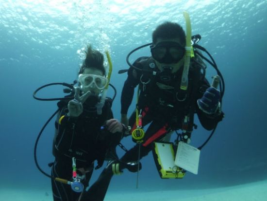 体験ダイビング  ビーチ＋ボートの2ダイブ 沖永良部の海で様々な生物に会いに行こう ＜水中写真プレゼント付き＞ by シードリーム沖永良部