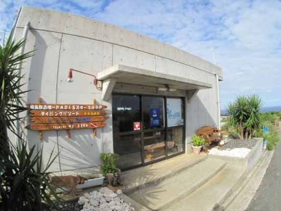 体験ダイビング  ビーチ＋ボートの2ダイブ 沖永良部の海で様々な生物に会いに行こう ＜水中写真プレゼント付き＞ by シードリーム沖永良部