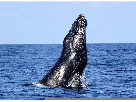 20160907031015_53672544_2334_9