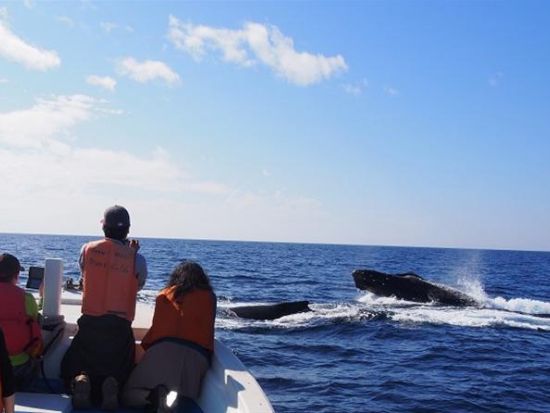 20160907031015_53672544_2334_9