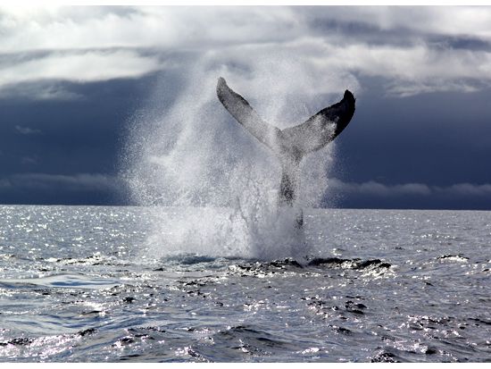 20160907031015_53672544_2334_9