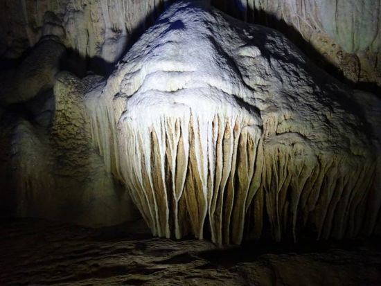 ＼山下ガイドと行く／沖永良部島 島内観光ツアー 車移動で楽々！定番名所からディープな魅力まで地元ガイドがご案内 行きたい場所はアレンジ可能＜3時間 or 1日＞