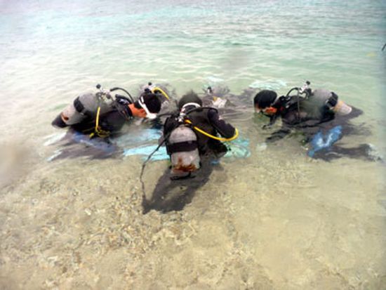 o0400030013195671084