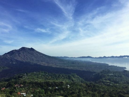 エレファントサファリパークツアー　ライステラス鑑賞やウブド観光も楽しめる ＜ビュッフェランチ付き／日本語ガイド＞by JTB