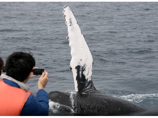 20160907031015_943618919_2334_9