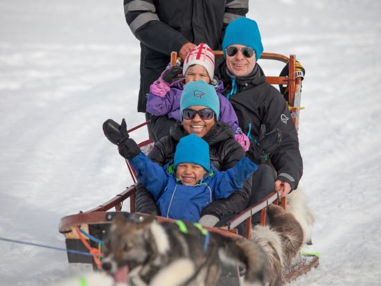 犬ぞり体験ツアー ハスキーたちと駆け巡る白銀の世界！ノルウェー伝統料理のランチ付き＜11～4月／午前／英語ガイド／トロムソ発＞