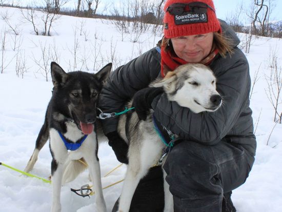 犬ぞり体験ツアー ハスキーたちと駆け巡る白銀の世界！ノルウェー伝統料理のランチ付き＜11～4月／午前／英語ガイド／トロムソ発＞