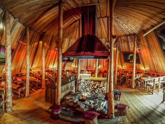 スリリングに駆け抜ける！白銀の犬ぞり運転体験ツアー ノルウェー伝統料理のランチ付き＜11～4月／午前／英語ガイド／トロムソ発＞