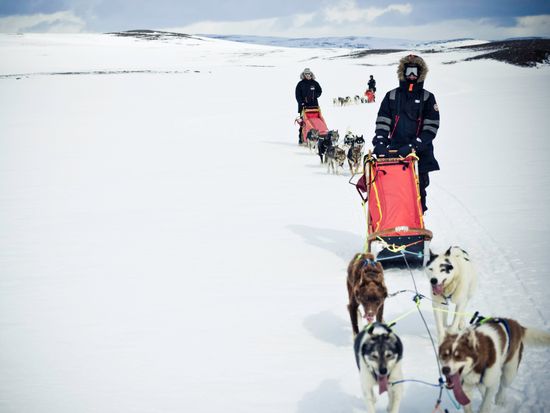スリリングに駆け抜ける 白銀の犬ぞり運転体験半日ツアー 11 3月 午前 食事付き 英語ガイド トロムソ発 ノルウェー ノルウェー 旅行の観光 オプショナルツアー予約 Veltra ベルトラ スリリングに駆け抜ける 白銀の犬ぞり運転体験半日ツアー 11 3月 午前 食事付き 英語ガイド トロムソ発 ノルウェー ノルウェー 旅行の観光 オプショナルツアー予約 Veltra ベルトラ