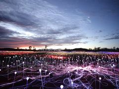 Field of Light2 - offical