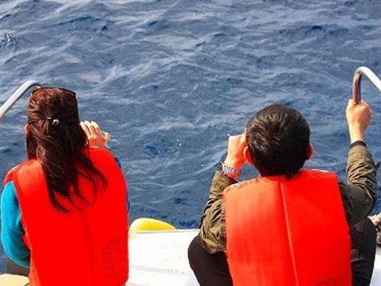 o0400026613199253011