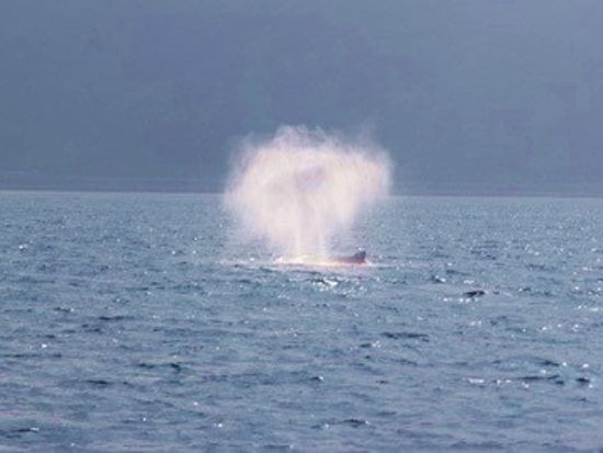 o0400026713582118754