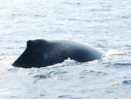 o0400026713582118754