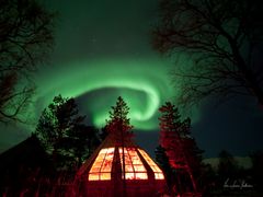 aurora borealis, northern lights, tromso, norway