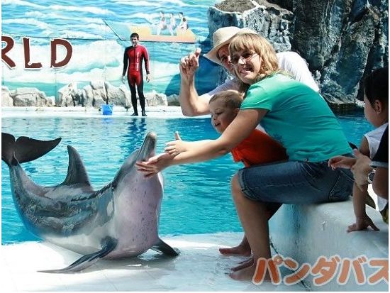 サファリワールド＋マリンパーク 入場チケット 虎にライオン＆世界最大のキリンの群れ　イルカのショーも楽しめるテーマパーク