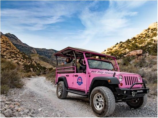 レッドロックキャニオン 半日観光ツアー ＜英語ドライバーガイド＞