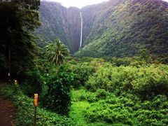 Hawaii_Big Island_Waipio on Horseback