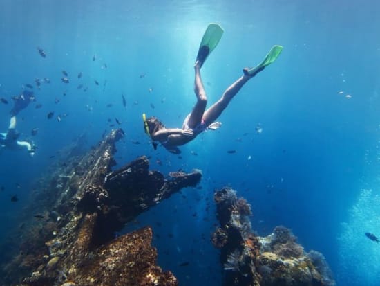 Cebu Nalusuan Island Snorkeling