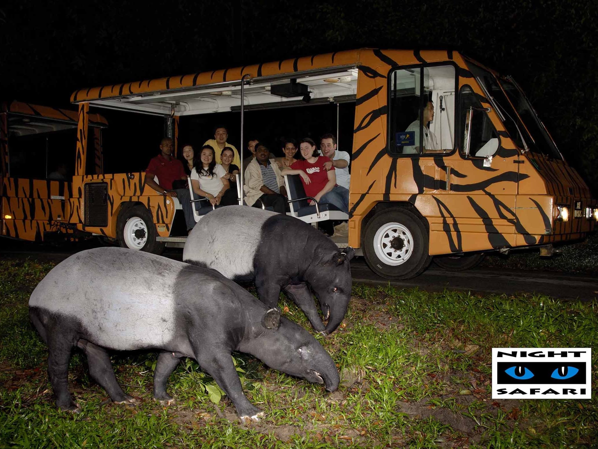 Private Tour of Singapore Night Safari with Optional Dinner tours,  activities, fun things to do in Singapore(Asia)｜VELTRA