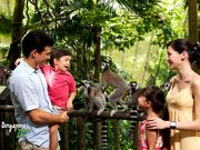 Singapore Zoo