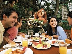 Singapore Zoo