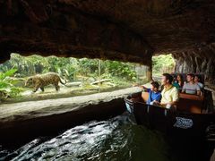 Singapore river safari