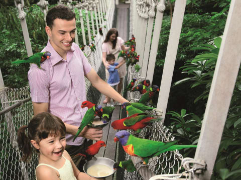 Singapore Jurong Bird Park Ticket With High Flyers Show And Hotel