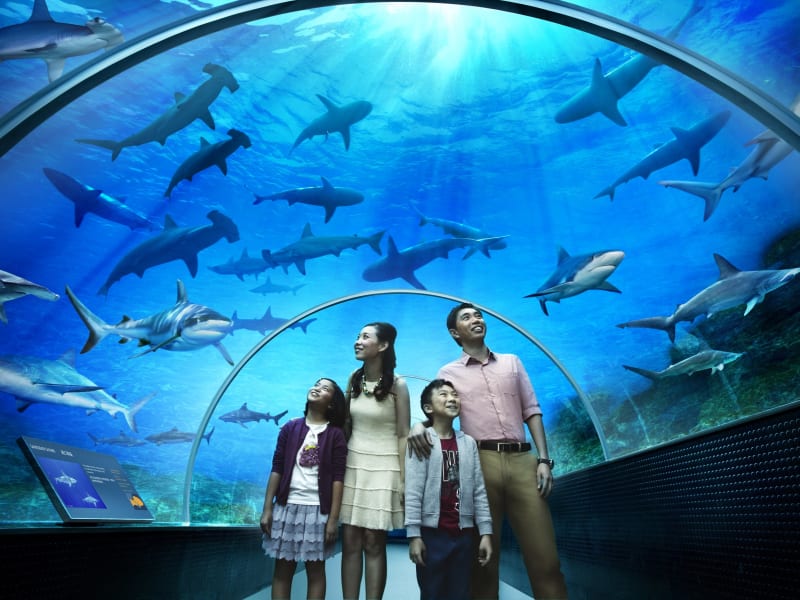 Singapore Sentosa SEA Aquarium