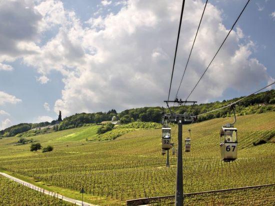 世界遺産ライン川クルーズ＆河岸レストランでのランチ　ライン渓谷日帰りツアー＜フランクフルト発＞