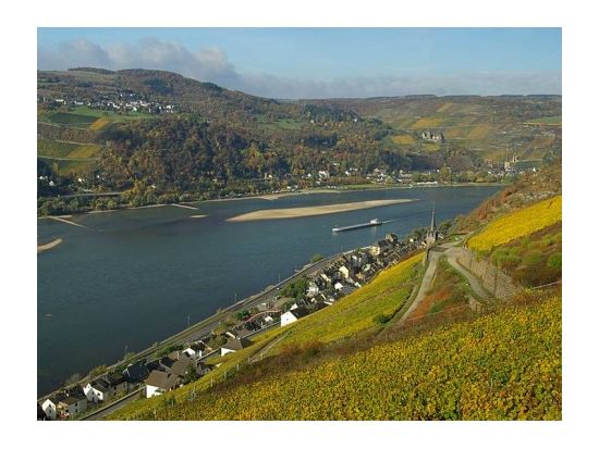 世界遺産ライン川クルーズ＆河岸レストランでのランチ　ライン渓谷日帰りツアー＜フランクフルト発＞