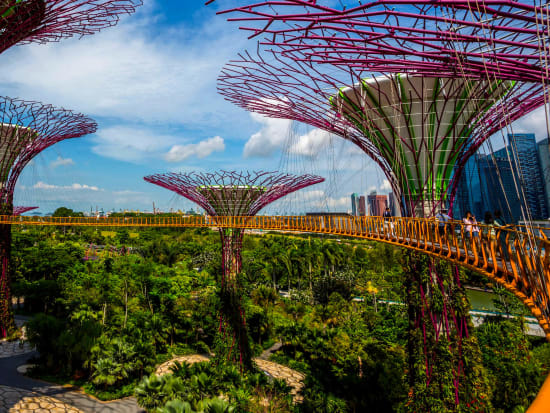 Singapore Gardens by the Bay Conservatory Tickets with ...