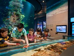 Singapore Sentosa SEA Aquarium