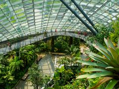 Singapore Gardens by the Bay