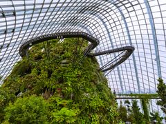 Singapore Gardens by the Bay Cloud Forest