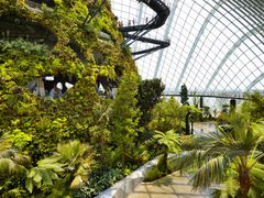 singapore_gardens-by-the-bay_shutter_368696480