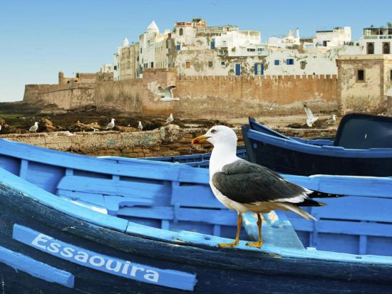 世界遺産エッサウィラ 碧い海を望む白い街並みを巡る1日観光ツアー＜英語／マラケシュ発＞