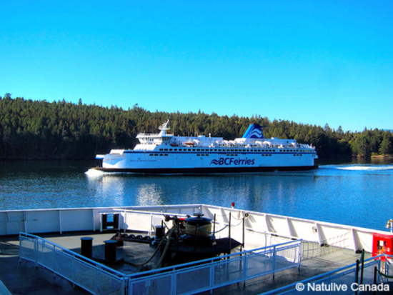 ビクトリア＆ブッチャートガーデン　日帰り観光ツアー ＜3～11月／日本語ドライバーガイド／バンクーバー発＞