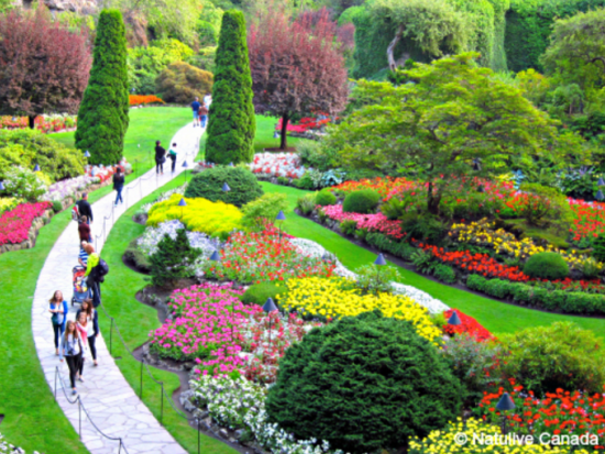 ビクトリア＆ブッチャートガーデン　日帰り観光ツアー ＜3～11月／日本語ドライバーガイド／バンクーバー発＞