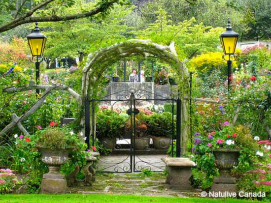 ビクトリア＆ブッチャートガーデン　日帰り観光ツアー ＜3～11月／日本語ドライバーガイド／バンクーバー発＞