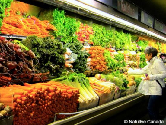 住みやすい街バンクーバー　生活体験ツアー ＜1日1組限定／日本語ガイド＞