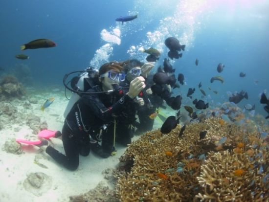 体験ダイビング＋セブ島市内観光　貸切チャーター付きプランがおすすめ！＜ボート／送迎／日本語ガイド/日本食レストラン日替わりランチ＞