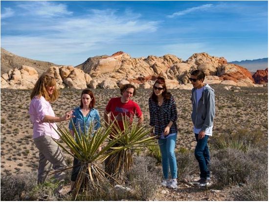 レッドロックキャニオン 半日観光ツアー ＜英語ドライバーガイド＞