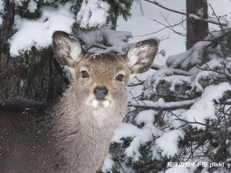 10358742_827237344008818_1661136858685542855_n